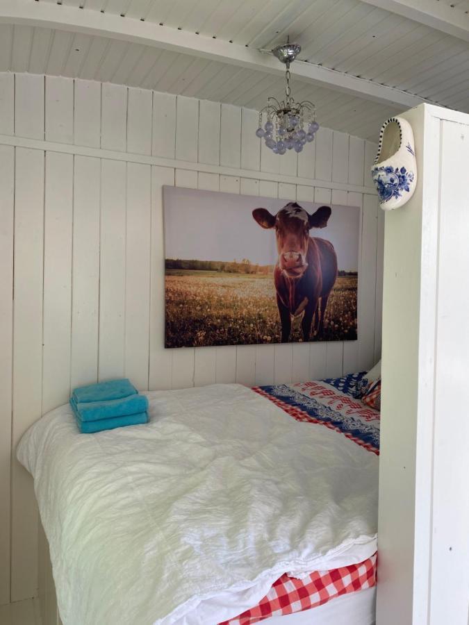 Little Blue House Hotel Oostvoorne Bagian luar foto
